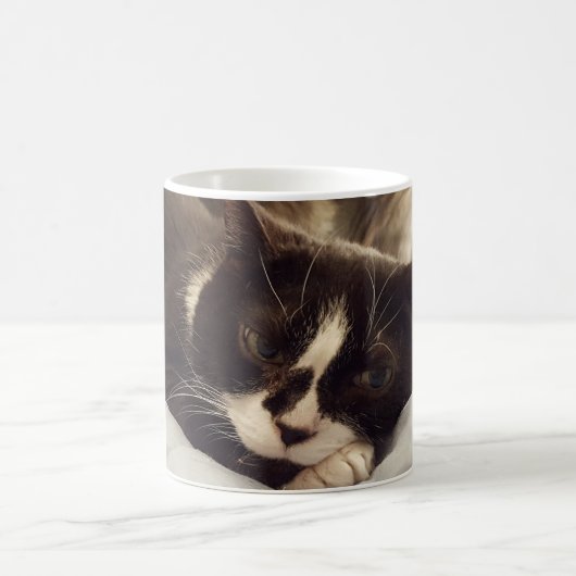眠いタキシード猫マグ コーヒーマグカップ (中央)