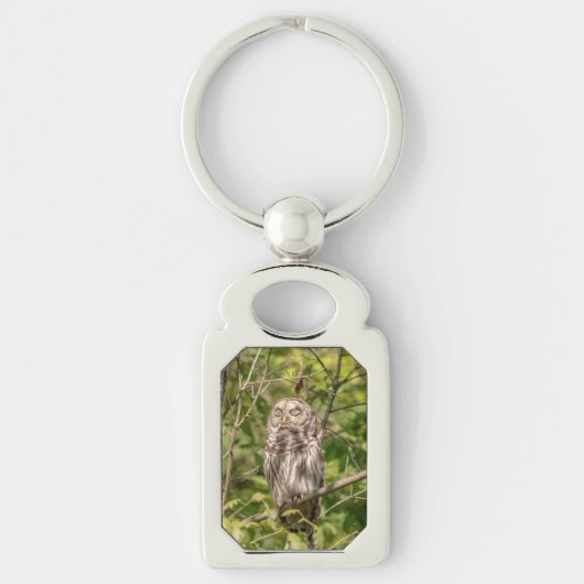 眠いバーレッドフクロウ キーホルダー (正面)