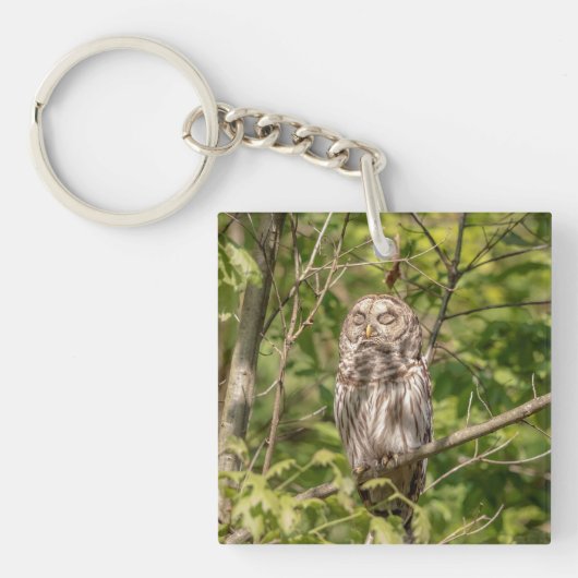 眠いバーレッドフクロウ キーホルダー (正面)