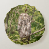 眠いバーレッドフクロウ ラウンドクッション (裏面)