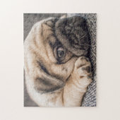 眠いパグ ジグソーパズル (縦)