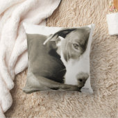 眠いピットブルセピア写真枕 クッション (ブランケット)