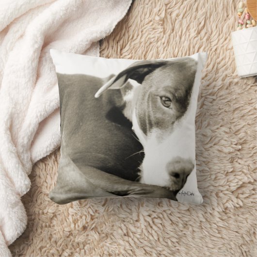 眠いピットブルセピア写真枕 クッション (ブランケット)