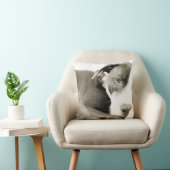 眠いピットブルセピア写真枕 クッション (椅子)