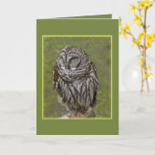 眠いフクロウのグリーティングカード カード (黄色い花)