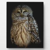 眠いフクロウのプラーク フォトプラーク (正面)