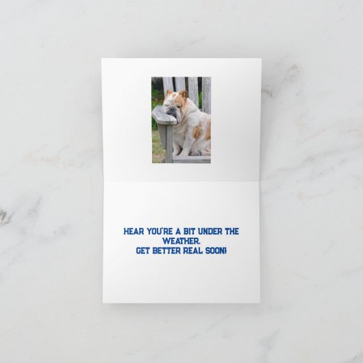 眠いブルドッグはよくカードを取得 カード (内部)