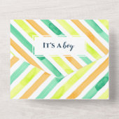 眠いベビーキャットカラフルベビーシャワー オールインワン招待状 (裏面)