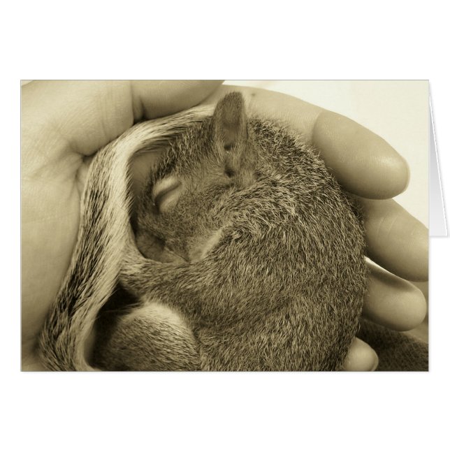 眠いベビー (正面横)