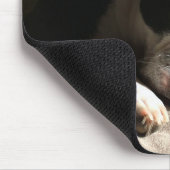 眠いボストン マウスパッド (コーナー)