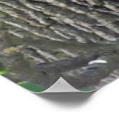 眠いリスが木の枝の上で冷却 ポスター (角)