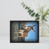 眠いロバ ポストカード (スタンド正面)