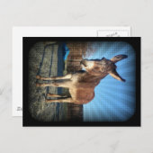 眠いロバ ポストカード (正面/裏面)