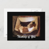 眠いワン考えピー – Your ポストカード (正面/裏面)