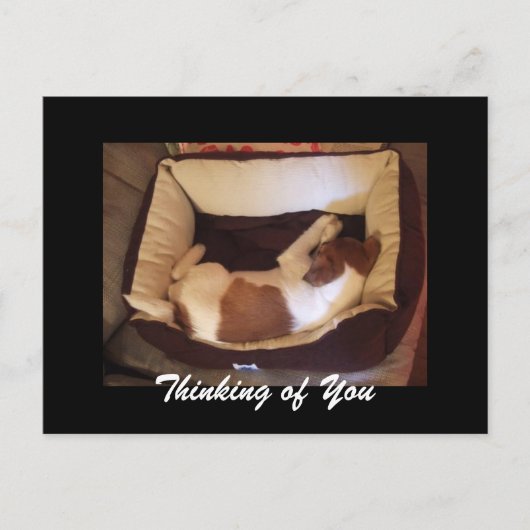 眠いワン考えピー – Your ポストカード (正面)