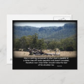 眠い丸太に比べたら… ポストカード (正面/裏面)