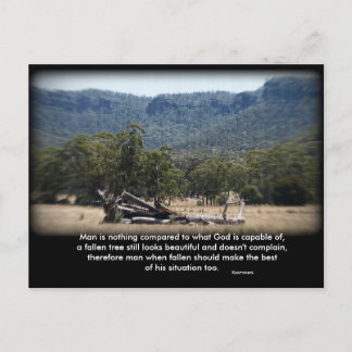 眠い丸太に比べたら… ポストカード