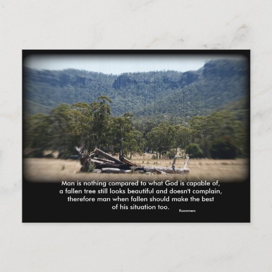 眠い丸太に比べたら… ポストカード (正面)