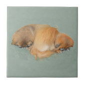 眠い午後 タイル (正面)