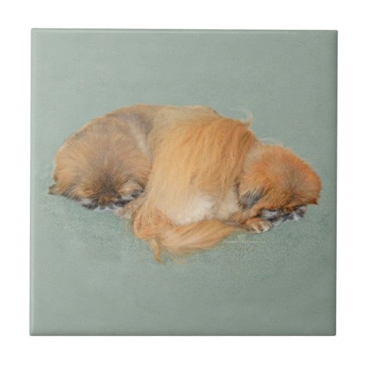 眠い午後 タイル (正面)