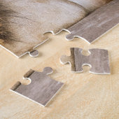 眠い夢を見る大人のライオンを岩に ジグソーパズル (側面)