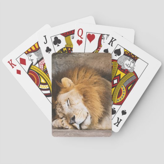 眠い夢を見る大人のライオンを岩に トランプ (裏面)