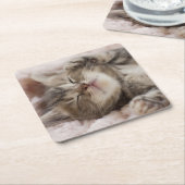 眠い子ネコ スクエアペーパーコースター (アングル)