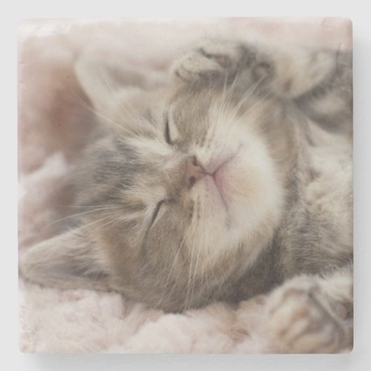 眠い子ネコ ストーンコースター (正面)