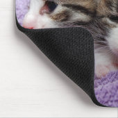 眠い子ネコ マウスパッド (コーナー)