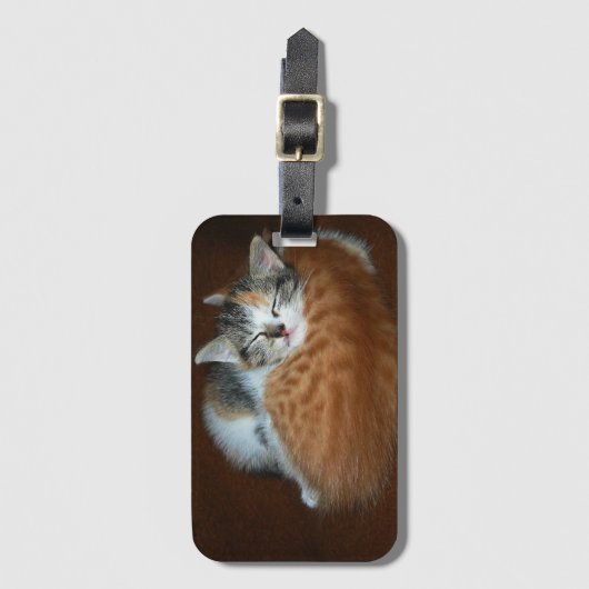 眠い子ネコ ラゲッジタグ (正面縦)