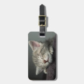 眠い子ネコ ラゲッジタグ (正面縦)