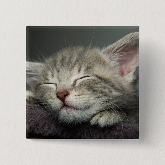 眠い子ネコ 缶バッジ (正面)