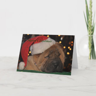 眠い子犬のクリスマスカード シーズンカード