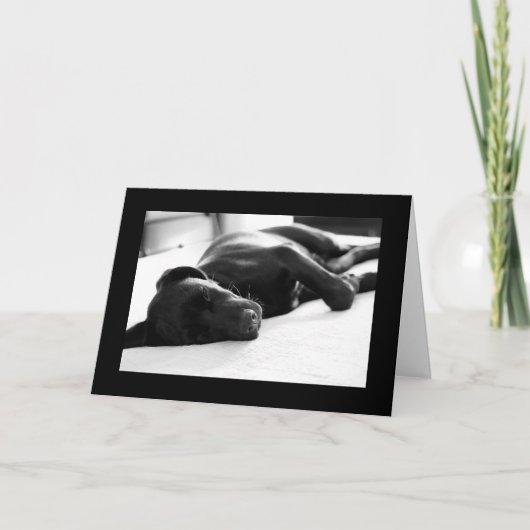 眠い子犬のラブラドル・レトリーバー犬 カード (正面)
