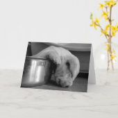 眠い子犬の挨拶状 カード (黄色い花)