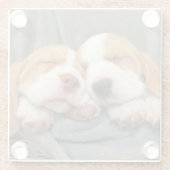 眠い子犬 ガラスコースター (裏面)