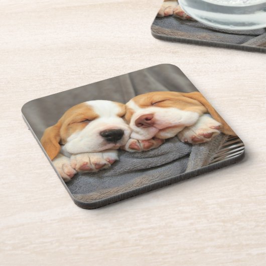 眠い子犬 コースター (左側)