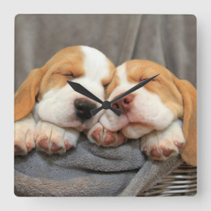 眠い子犬 スクエア壁時計