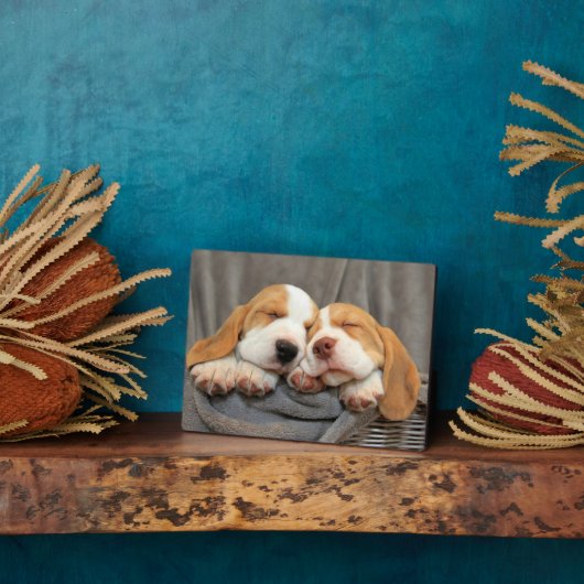 眠い子犬 フォトプラーク (側面)