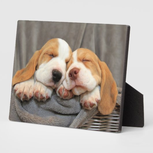 眠い子犬 フォトプラーク (側面)