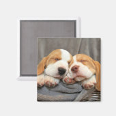 眠い子犬 マグネット (正面/裏面)