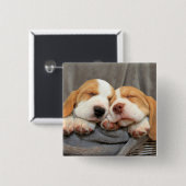 眠い子犬 缶バッジ (正面&裏面)