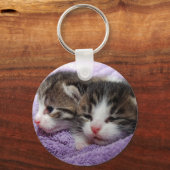 眠い子猫 キーホルダー (正面)
