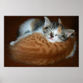 眠い子猫 ポスター (正面)