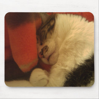 眠い子猫 マウスパッド
