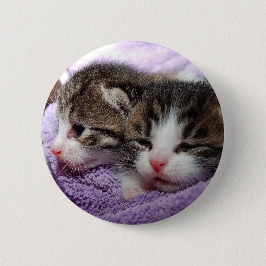 眠い子猫 缶バッジ (正面)