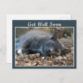 眠い日陰キャットがそろそろハガキになる ポストカード (正面/裏面)