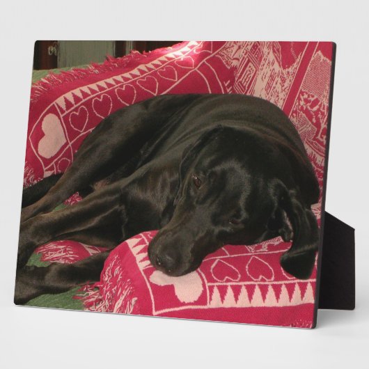 眠い犬のプラーク フォトプラーク (側面)