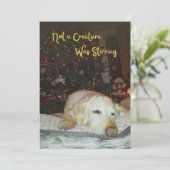 眠い犬は生き物ではなくクリスマスを揺らしていた シーズンカード (スタンド正面)