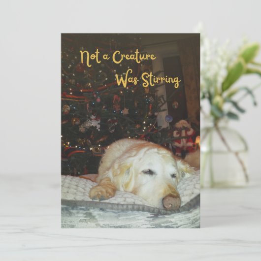 眠い犬は生き物ではなくクリスマスを揺らしていた シーズンカード (スタンド正面)